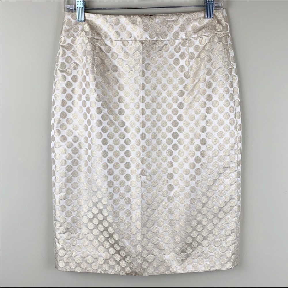 *****ISO Size 12 J. Crew Pembridge Dot Skirt*****